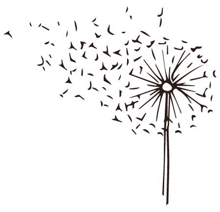 a dandelion illustration dispersing its seeds